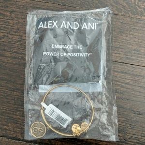 Alex And Ani bracelet